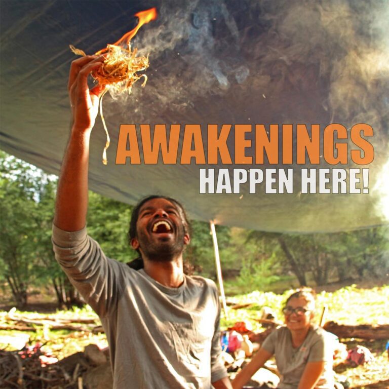 AwakeningsHappen