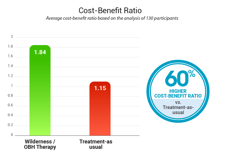 Cost Benefit Ratio V11 100